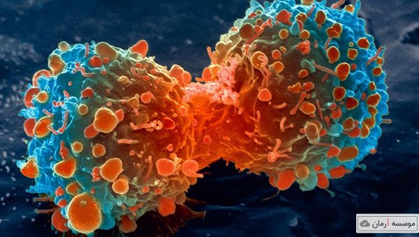  داروی کمیاب ضدسرطان در کشور ساخته شد
