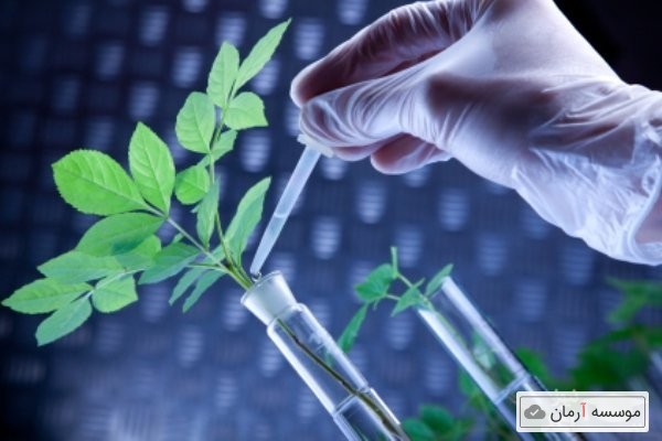 سوالات و کلید آزمون کارشناسی ارشد ناپیوسته بیو تکنولوژی گیاهی