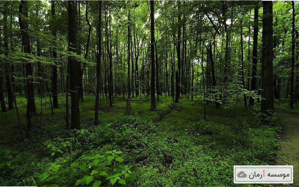 سوالات و کلید آزمون کارشناسی ارشد ناپیوسته منابع طبیعی و جنگل داری